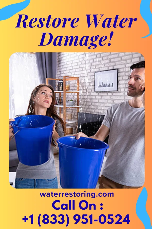 water restoration Quick Water Mitigation Co Trainer