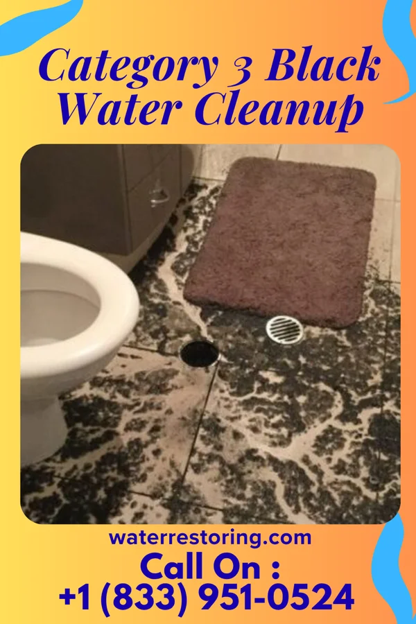 Category 3 Black Water Cleanup in Trainer, PA