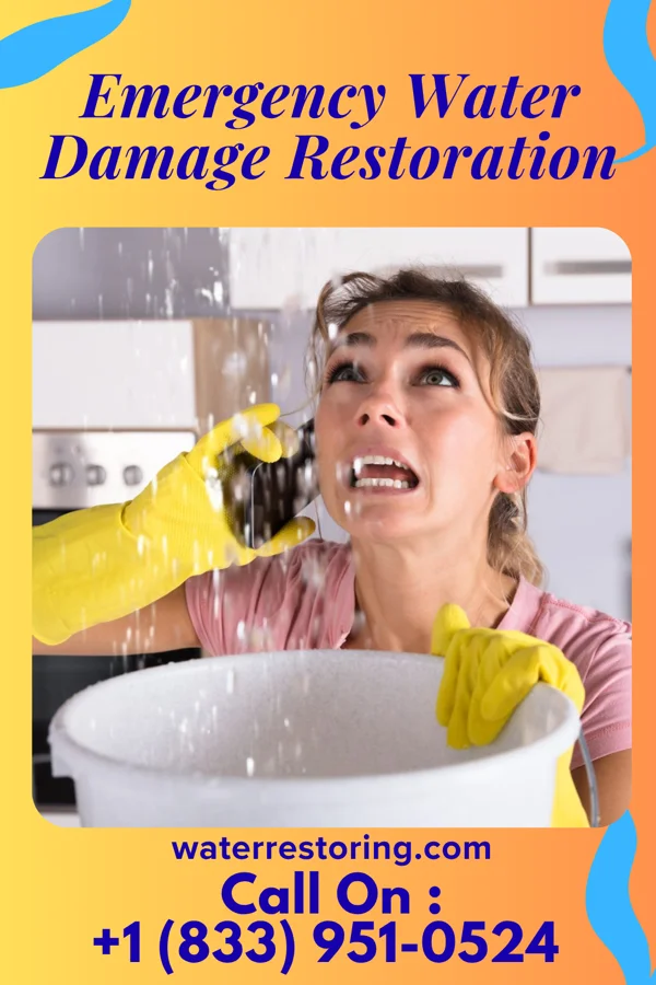 Emergency Water Damage Restoration in Trainer, PA