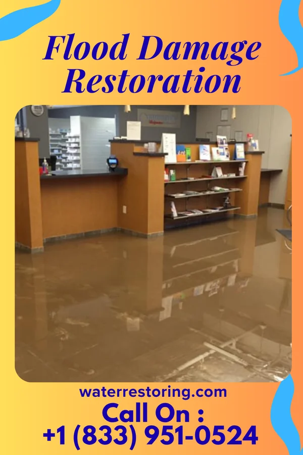 Flood Damage Restoration in Trainer, PA