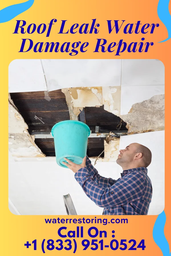 Roof Leak Water Damage Repair in Trainer, PA