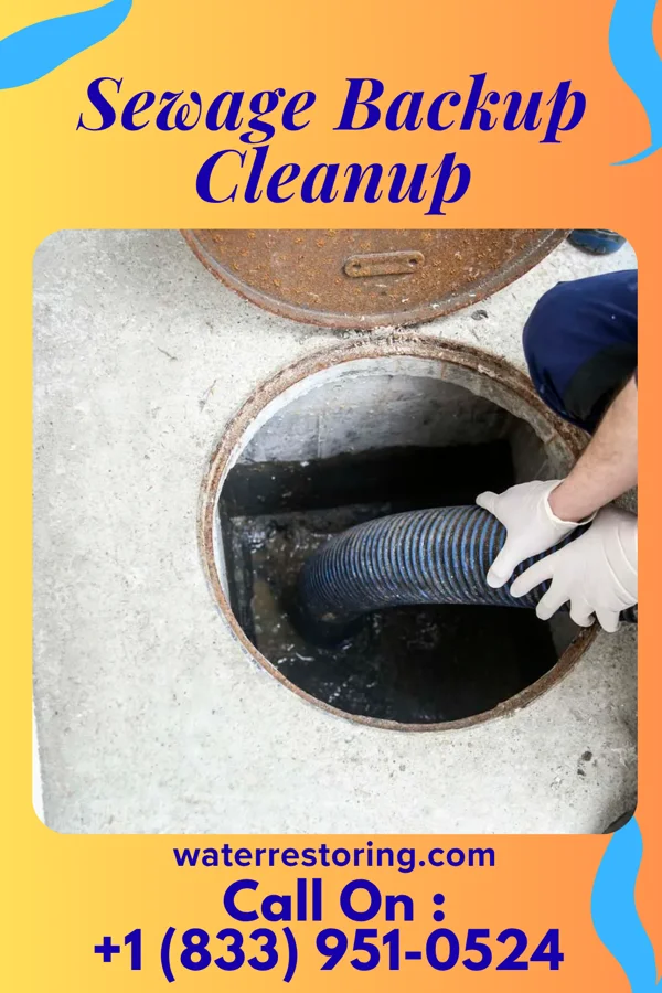 Sewage Backup Cleanup in Trainer, PA