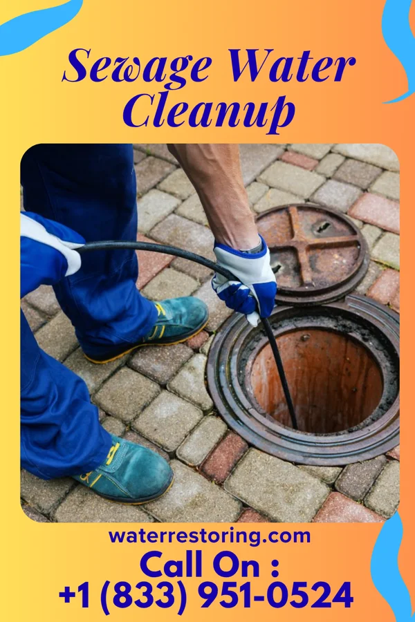 Sewage Water Cleanup in Trainer, PA
